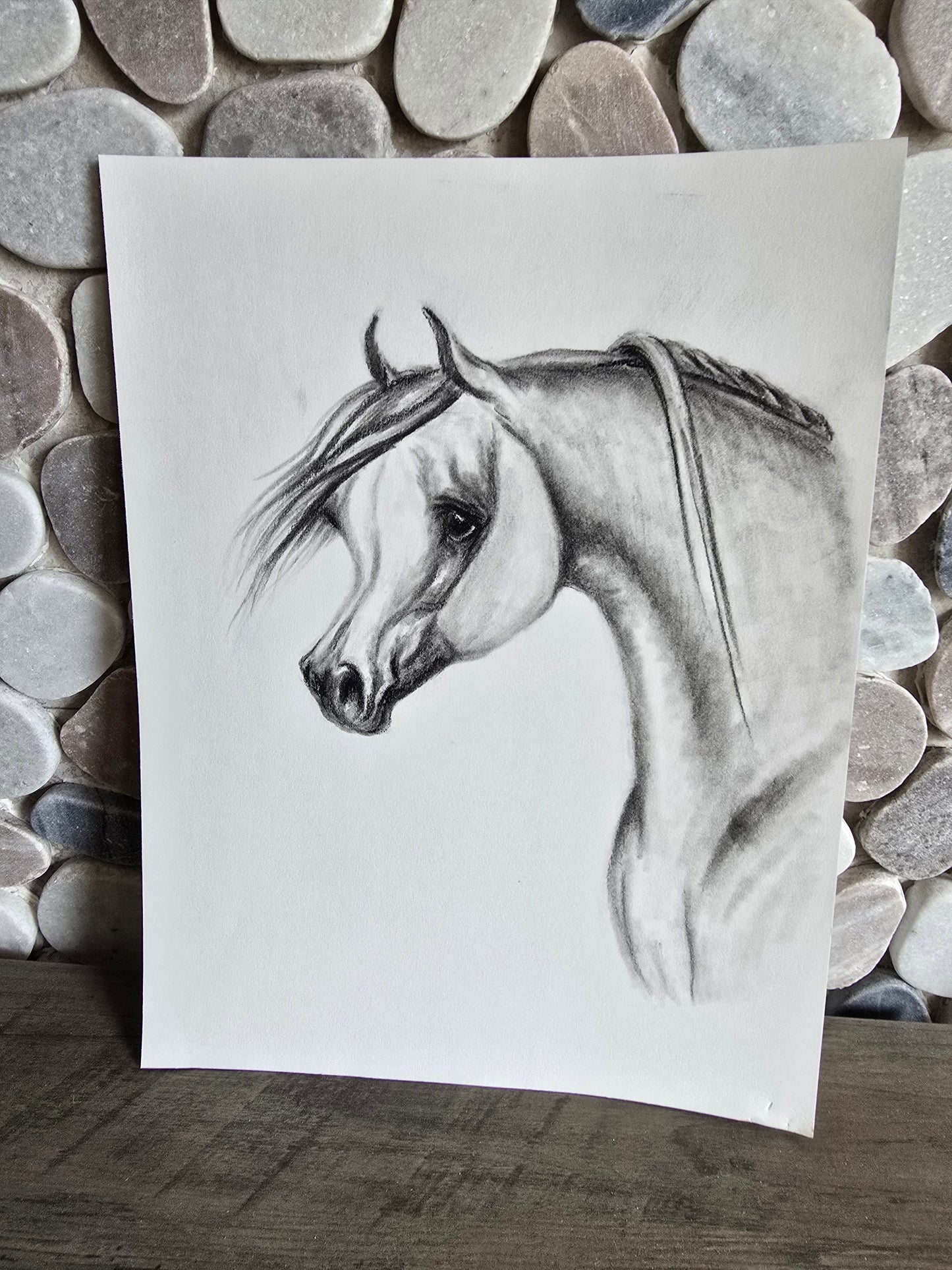 Elegance in Graphite — Original Arabian Horse Pencil Drawing