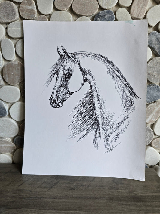 Ink & Soul — Original Arabian Horse Ink Pen Drawing