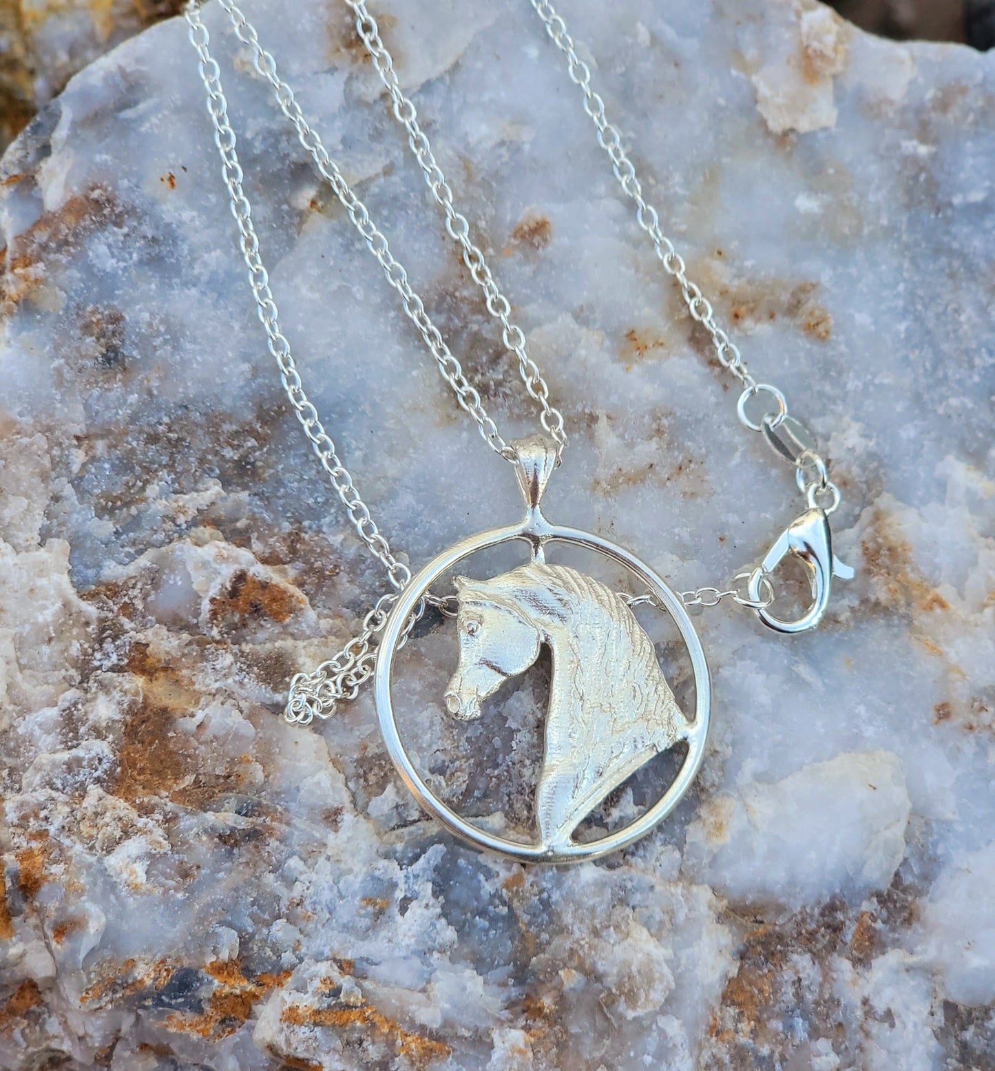 Sterling Silver Petite Arabian Horse Circle Pendant Necklace