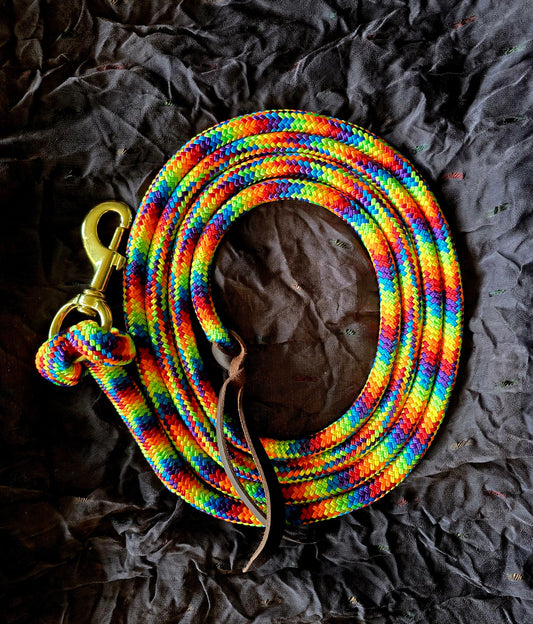 Handcrafted 10' Lead Rope with Leather Popper — Rainbow