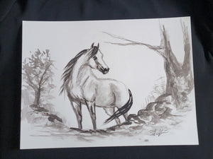 Wild Mustang — Original 9x12" Ink & Watercolor Equine Art