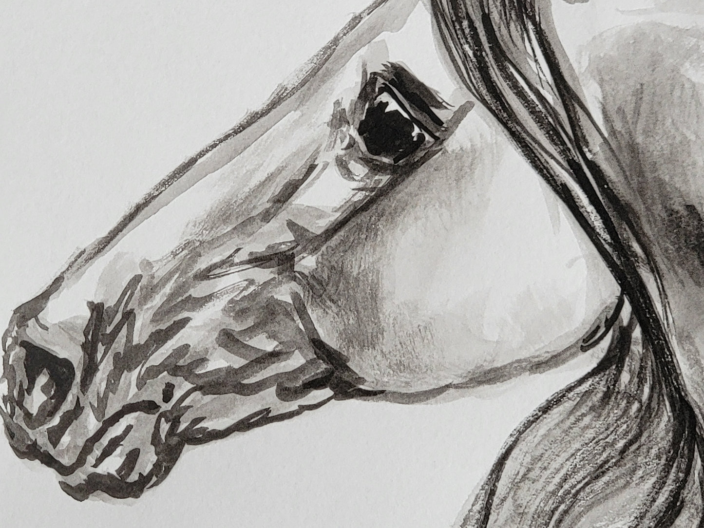 Spanish Beauty — Original Andalusian Horse Watercolor