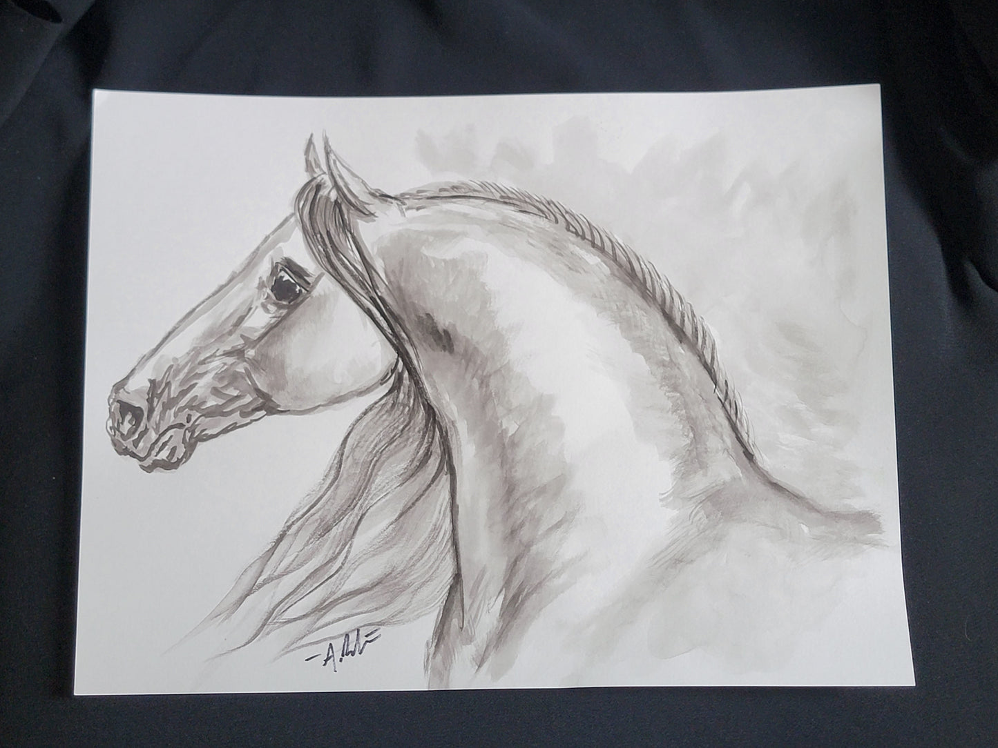 Spanish Beauty — Original Andalusian Horse Watercolor