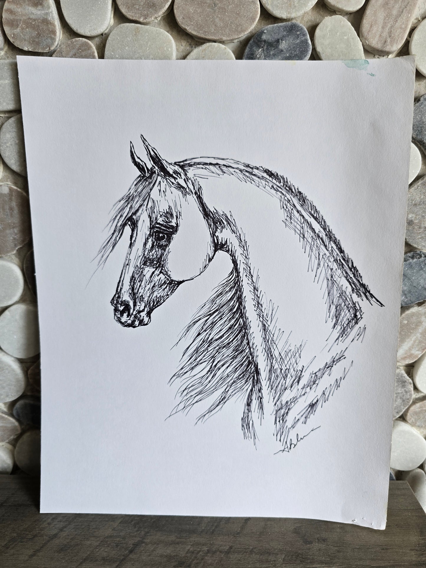Ink & Soul — Original Arabian Horse Ink Pen Drawing