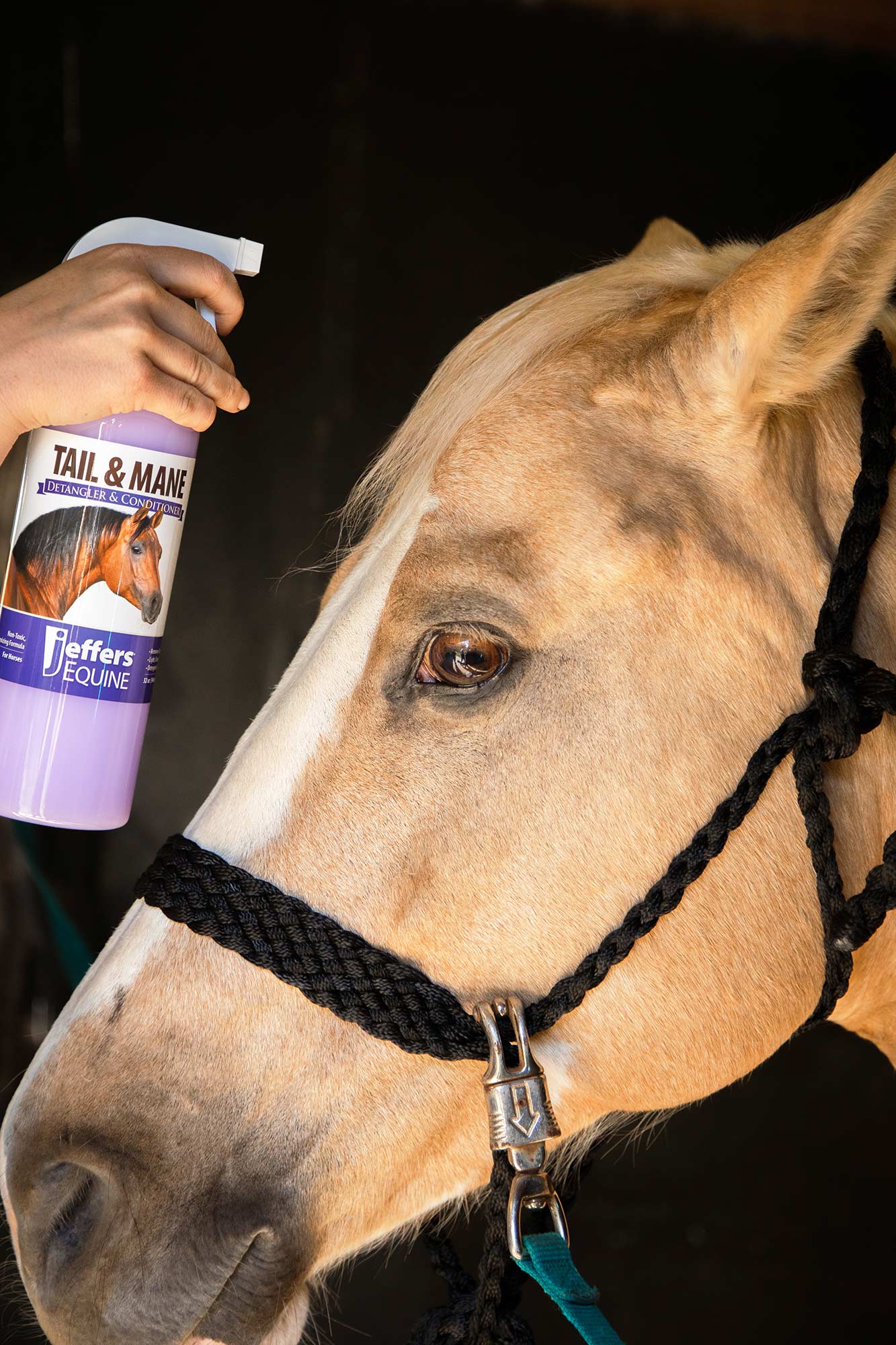 Jeffers Brand Equine Tail & Mane Detangler and Conditioner for Horses