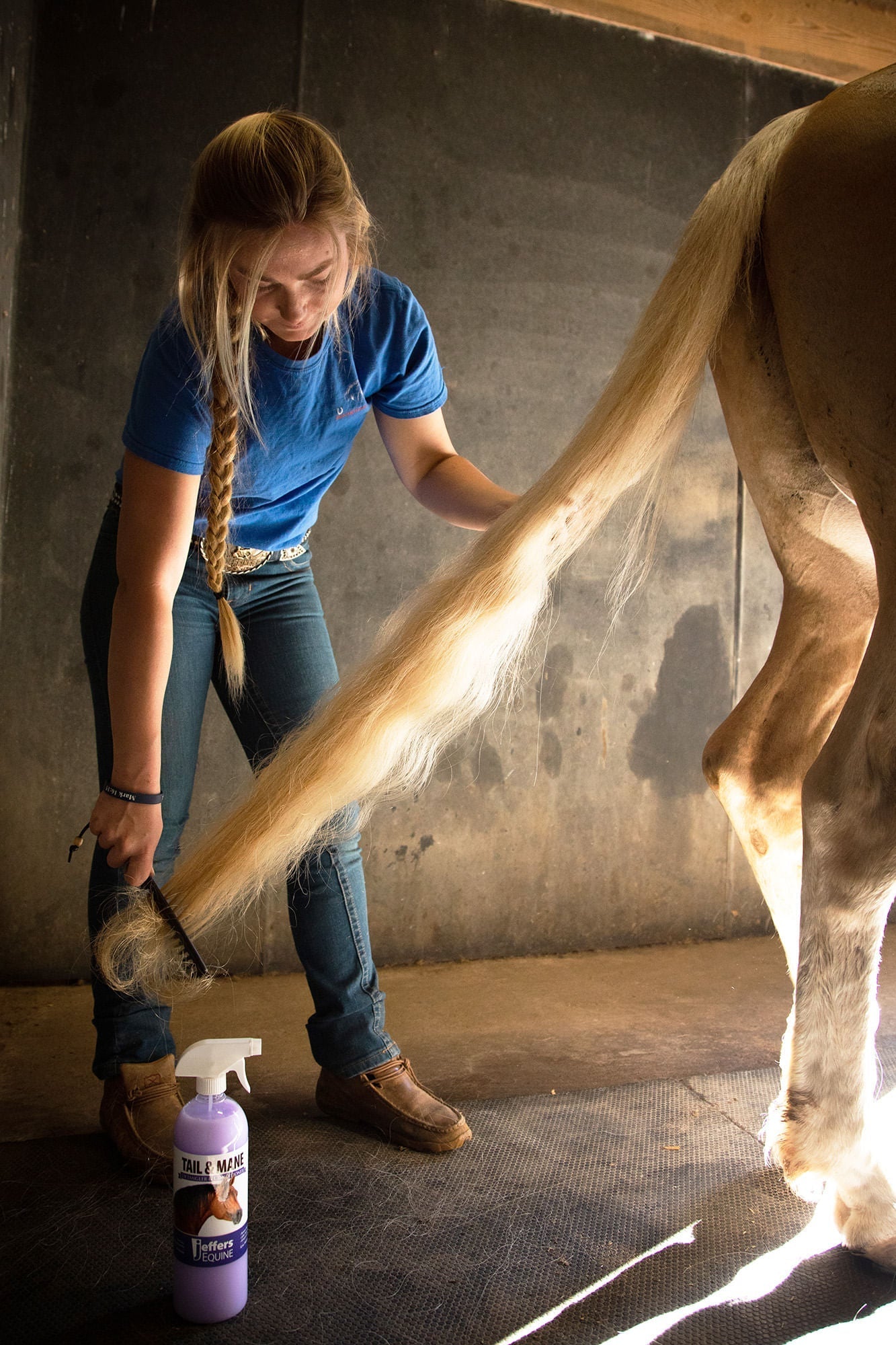 Jeffers Brand Equine Tail & Mane Detangler and Conditioner for Horses