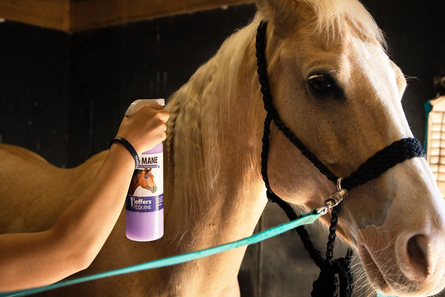 Jeffers Brand Equine Tail & Mane Detangler and Conditioner for Horses